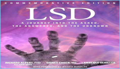 A Journey Into Musical Depth And Discovery