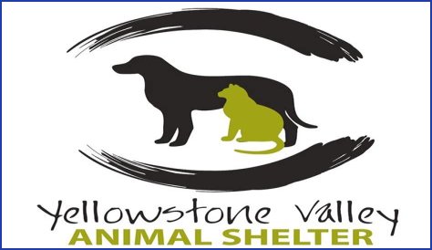 Discover The Heart Of Animal Welfare: Unveiling Yellowstone Animal Shelter