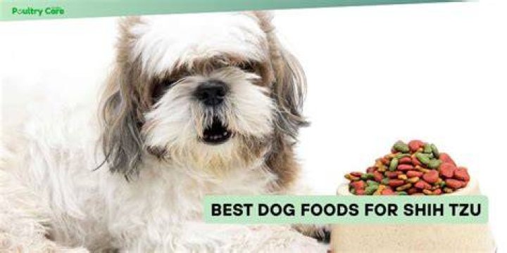 10 Best Dog Foods for Shih Tzus in 2024 - Reviews & Top Picks