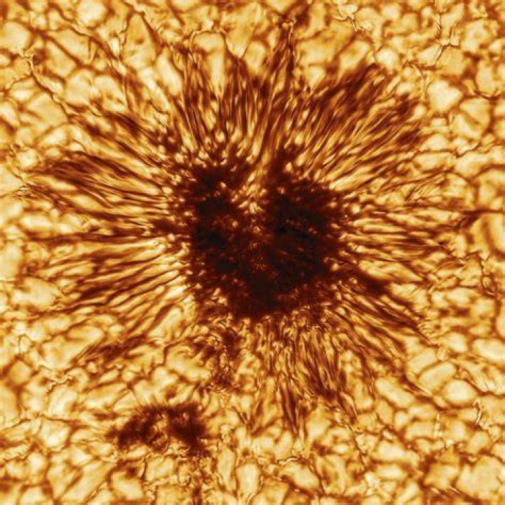 #12 Sunspot
