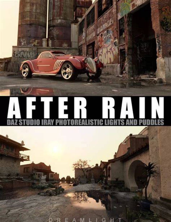 #20 After the Rain