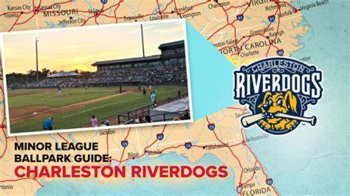 2022 Minor League Team Of The Year: Charleston RiverDogs — College Baseball, MLB Draft, Prospects