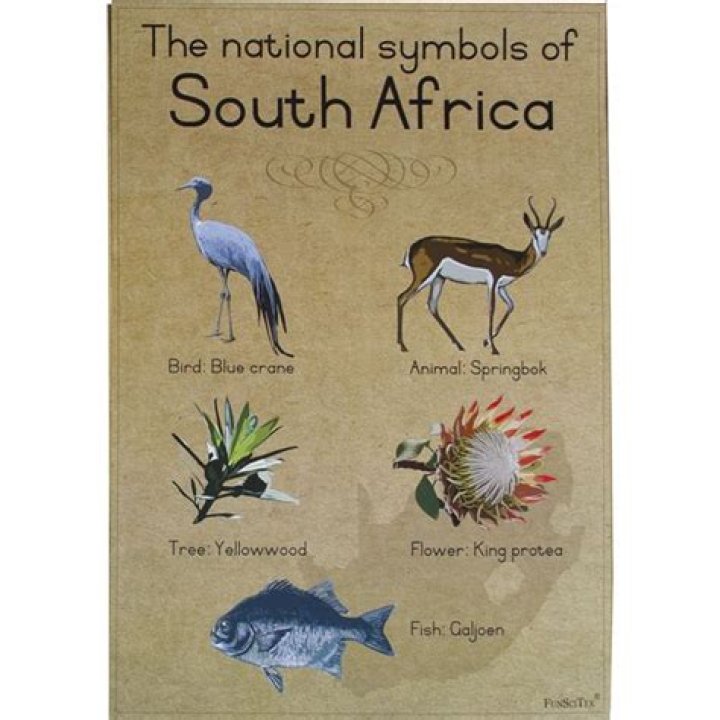 5 South African National Symbols