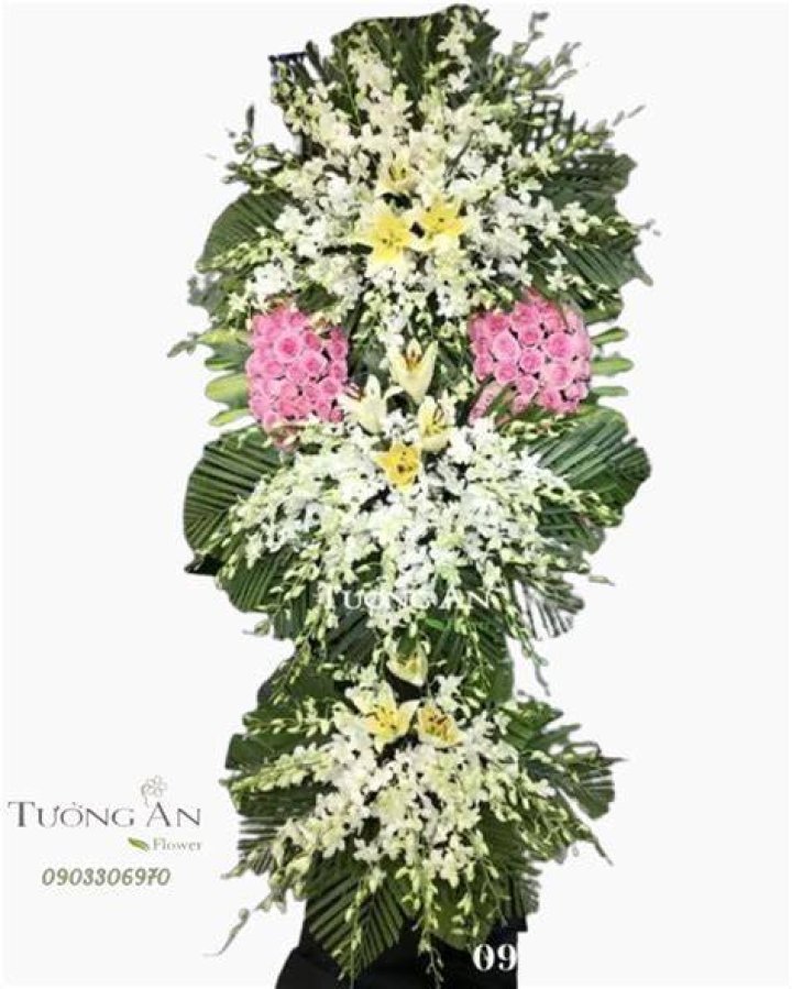 7 giống Hoa Hồng đỏ tươi đẹp rực rỡ, ki&ecirc;u kỳ | Flowerfarm.vn - shophoa