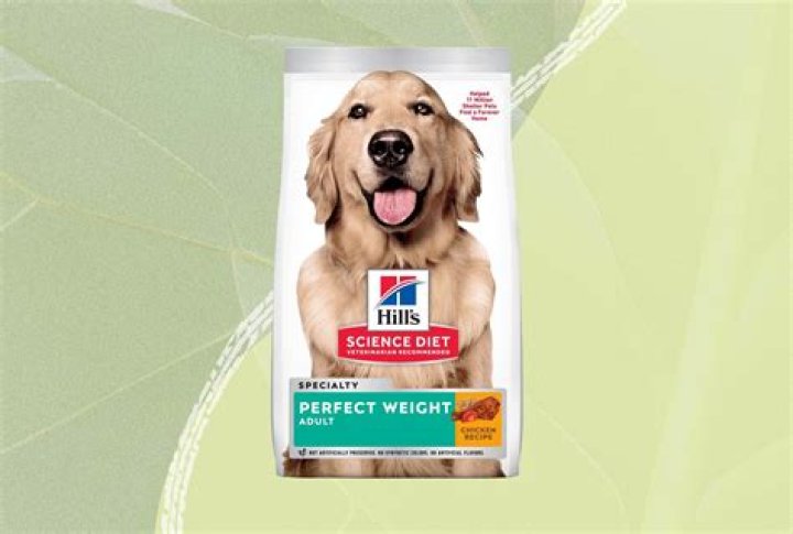 8 Best Dog Foods for Weight Loss in 2024 - Reviews & Top Picks