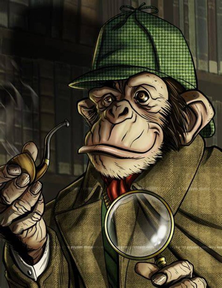 #9 Detective Chimp - ISTP Superheroes