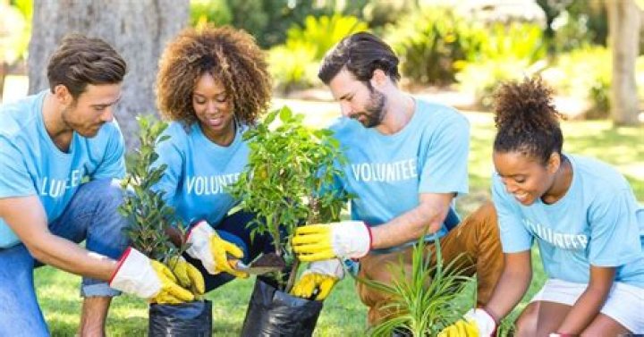 9 Top Volunteer Projects in Brazil