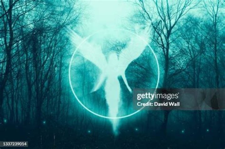A glowing female angel floating in a mysterious forest