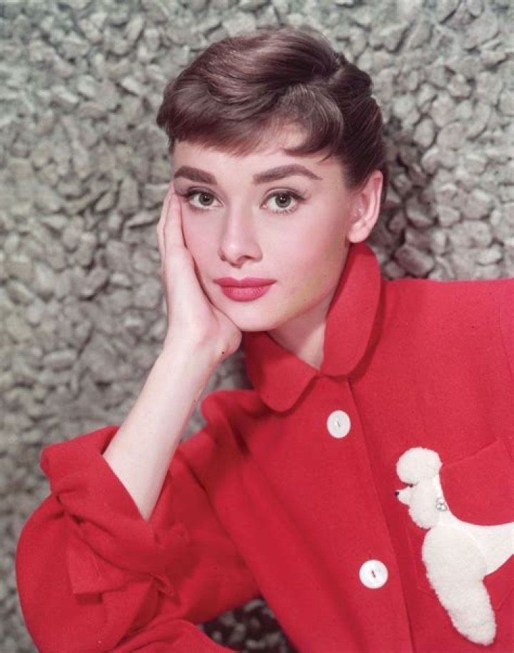 A picture of Audrey Hepburn's second son, Luca Dotti.