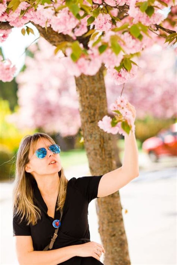 A woman under a cherry tree, cherry blossom