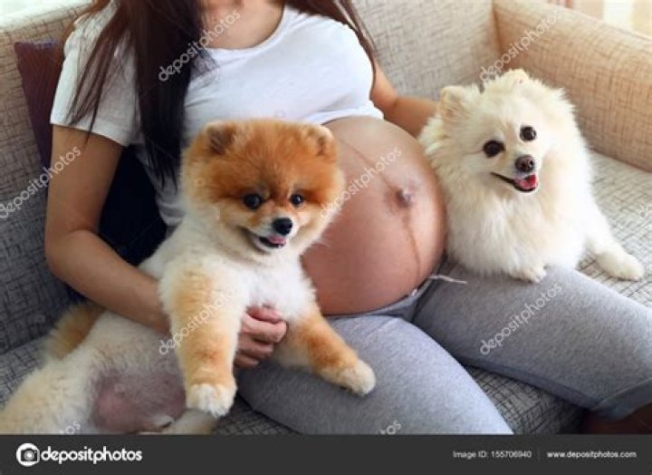 a woman with pomeranian dog