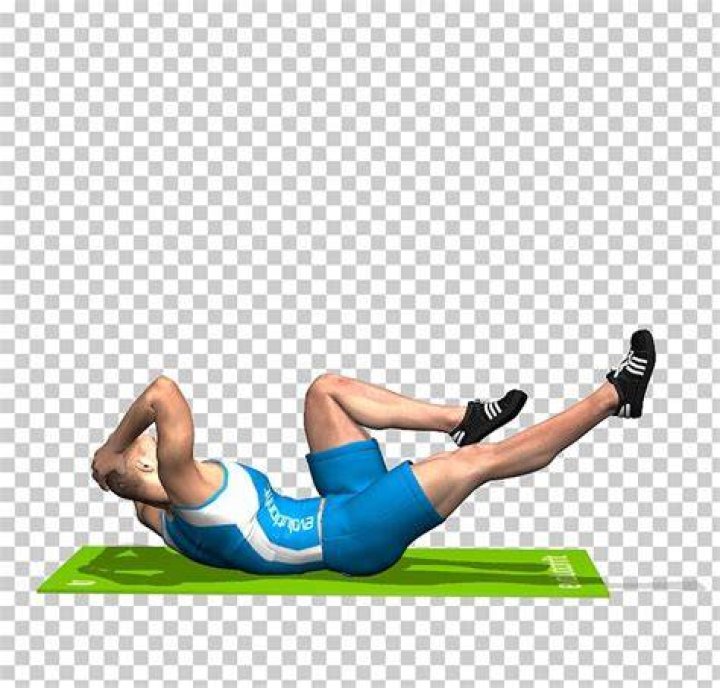 abdomen, arm, leg, crunch, joint, muscle, knee, trunk, chest, elbow,