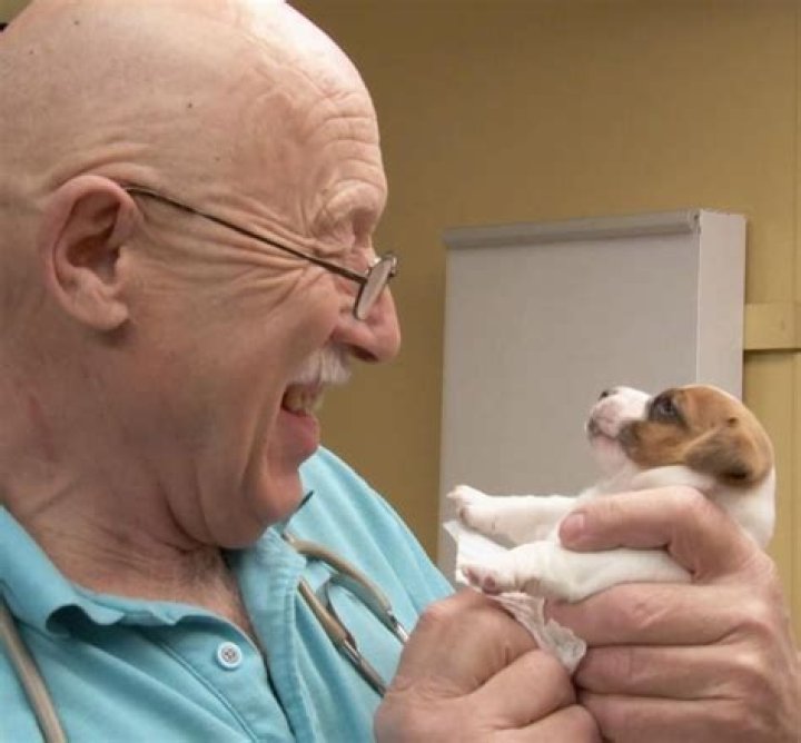 ABOUT Dr. Pol America's favorite veterinarian