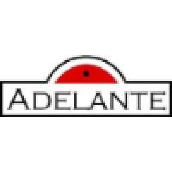 Adelante Abroad logo