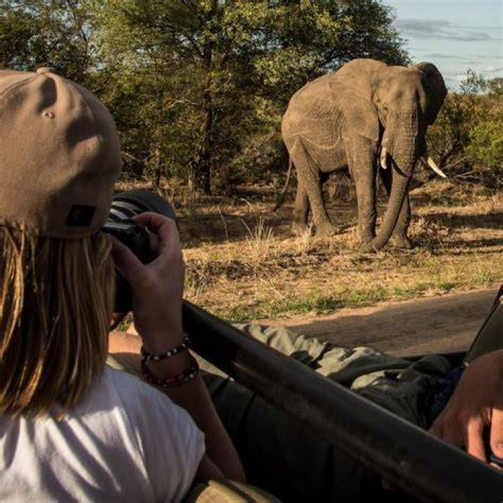 African Big 5 and Wildlife Conservation in South Africa