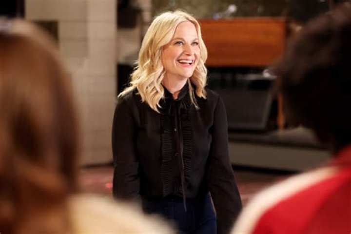 Amy Poehler's Life as a 