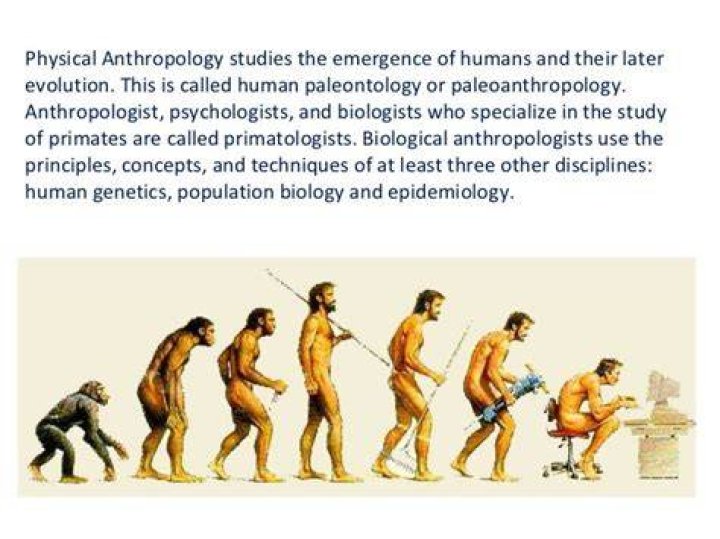Anthropology 