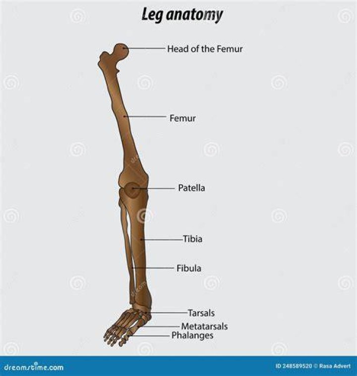arm, leg, human leg, human body, sitting, elbow, shoulder, wrist, shoe, joint,
