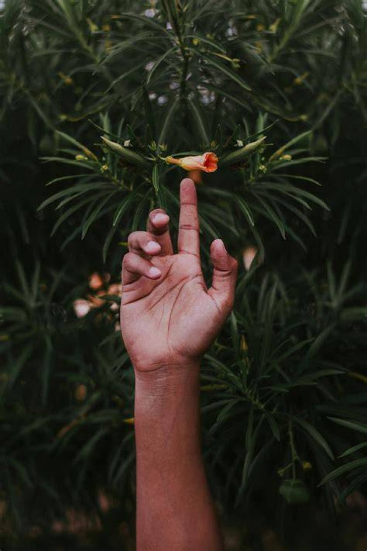 arm, photography,