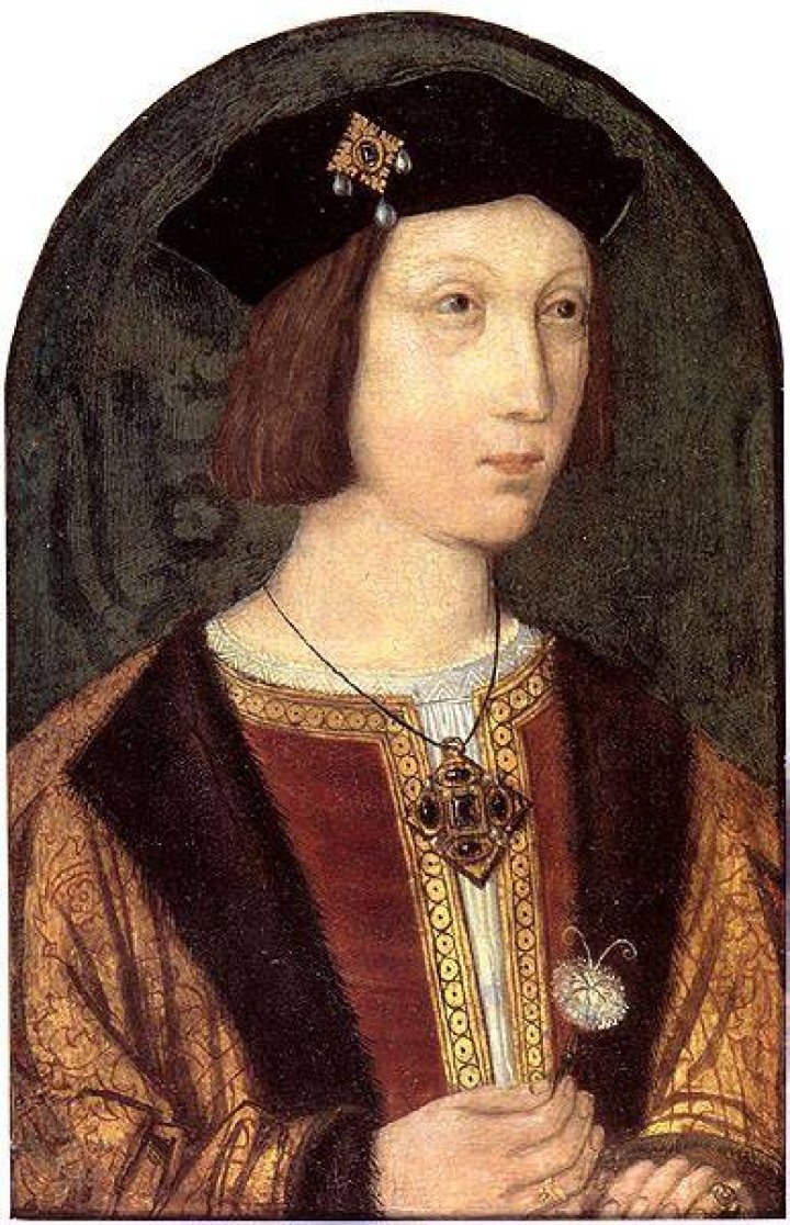 Arthur Prince of Wales (Henry VIII's brother) is thought to have suffered from the sweating sickness. Photo / Supplied 