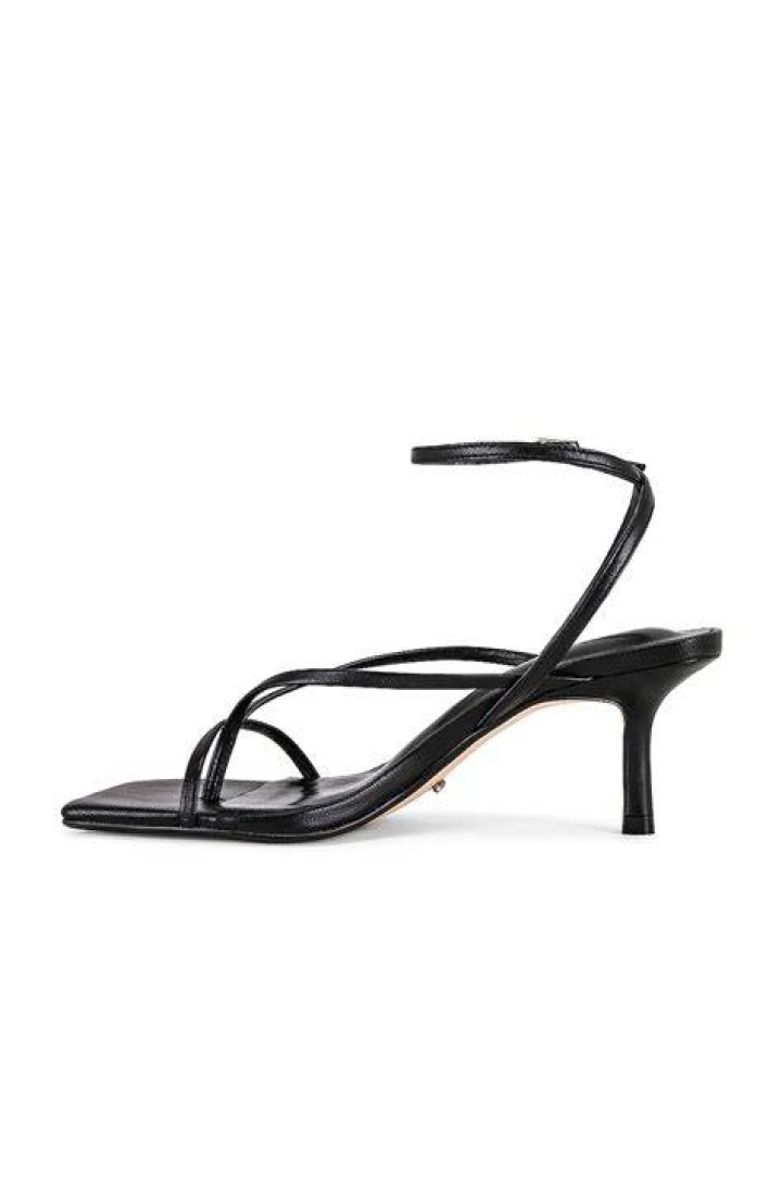 Avi Sandal