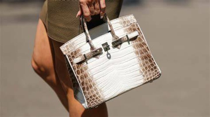 Bag, Handbag, Birkin bag, Fashion accessory, Still life, Tote bag, Material property, Leather, Kelly bag, Luggage and bags, 