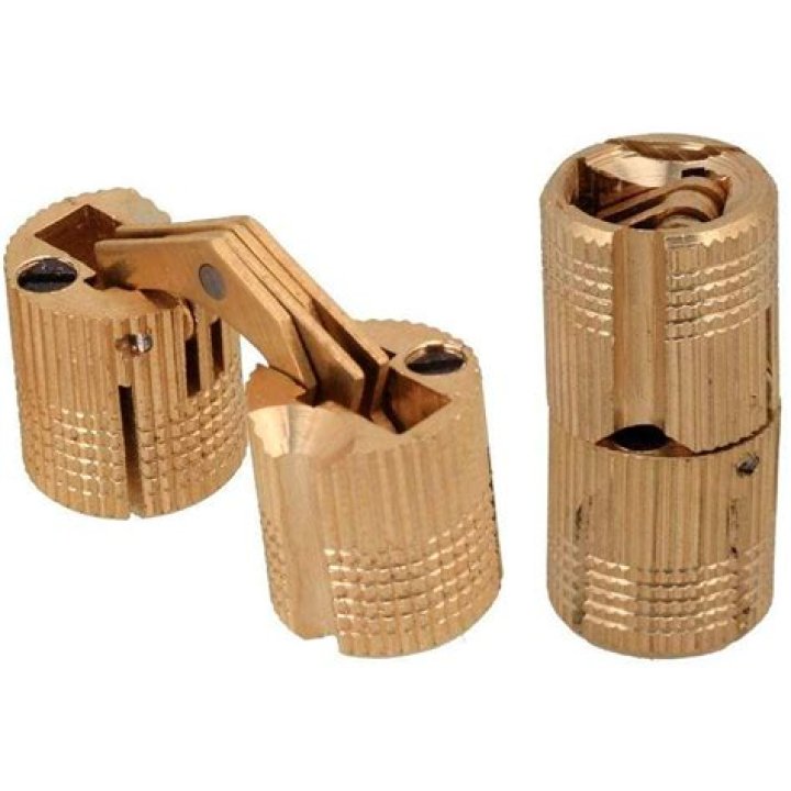 barrel hinge
