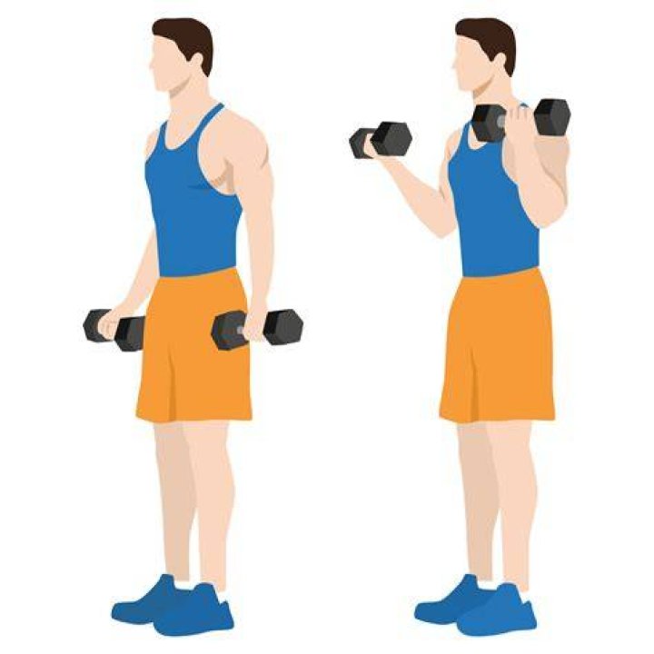 bicep curls bicep curls