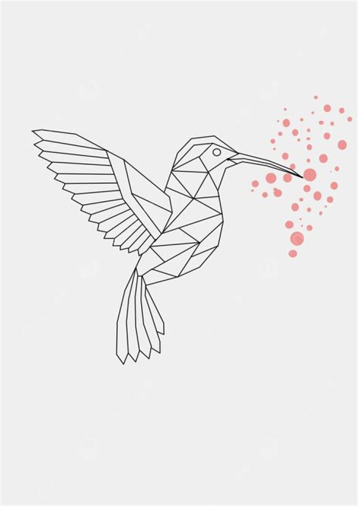 Bird design Bird design