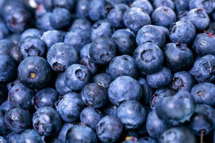 blueberries close up