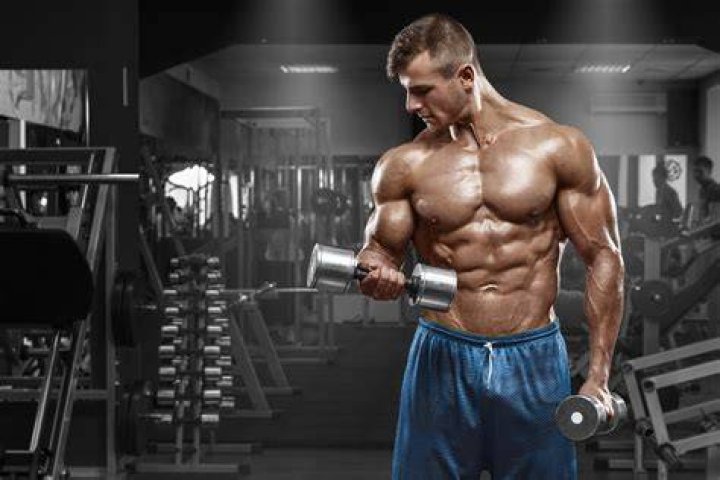 Body builder in gym