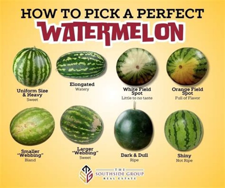 Botched Patient Smashes Open a Watermelon With Her Boobs