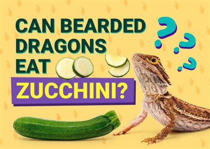 Can Bearded Dragons Eat Zucchini? Vet-Approved Nutritional Science & Info