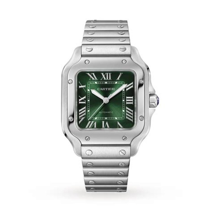cartier watch