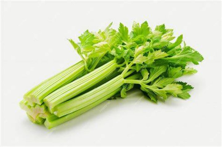 celery in white background