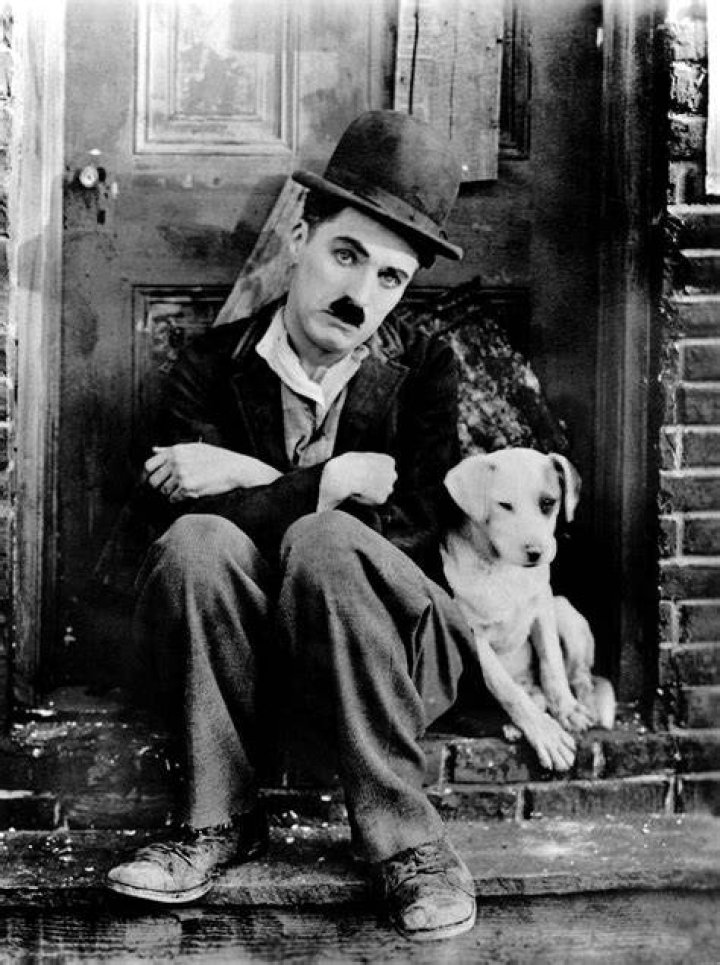 Charlie Chaplin's twins Charlie Chaplin's twins