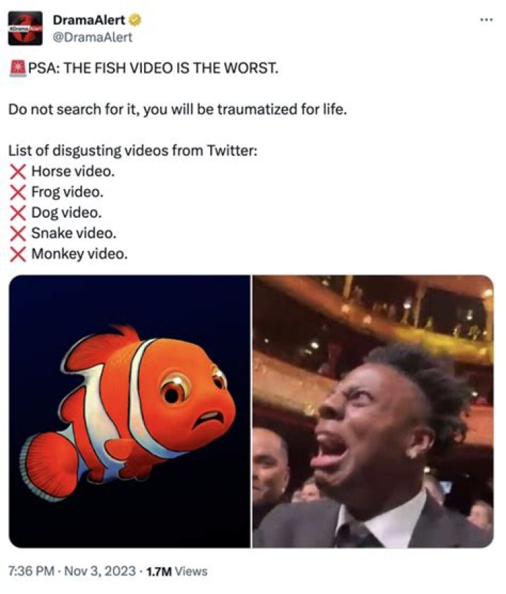Check If 2 Guys 1 Fish Clip Available On Reddit And TikTok: Viral Fish Video Twitter