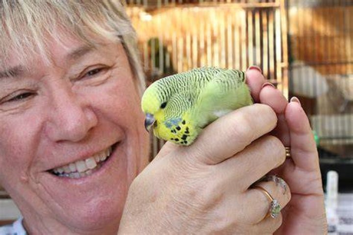 Cheeky Elle: belle of Tauranga Bird Show