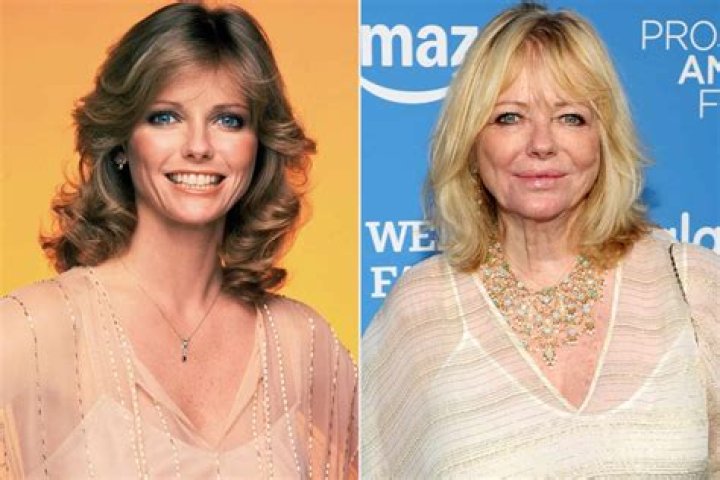 Cheryl Tiegs Net Worth, Age, Height, Husband, Family, Wiki 2024