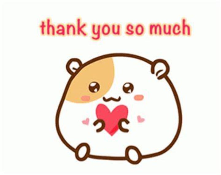 Cute thank you for the birthday wishes