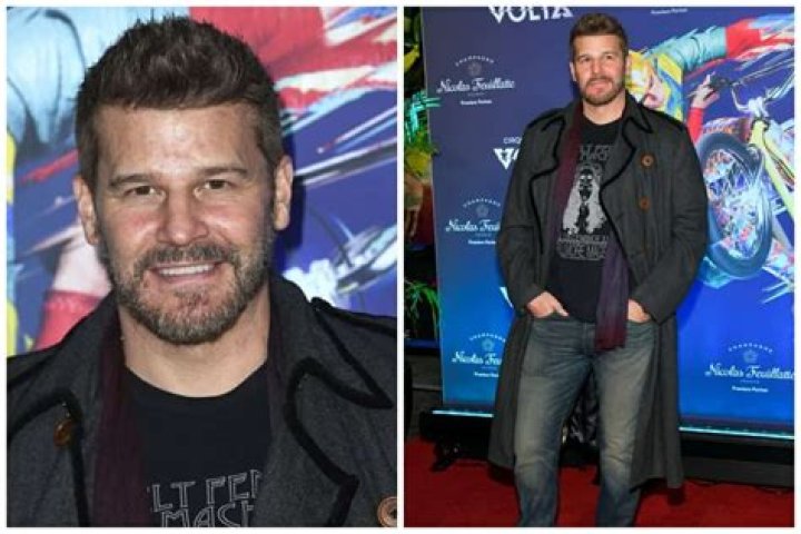 David Boreanaz net worth