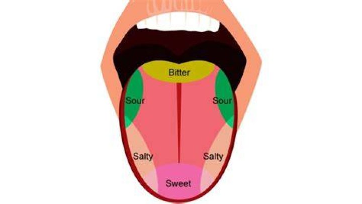 Definitions of sweet tongue - OneLook