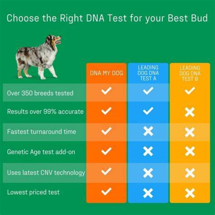 DNA My Dog Essential Breed Identification Test