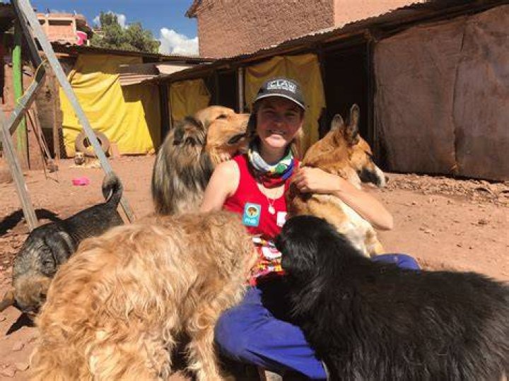 Dog Shelter - Volunteer in Peru and Learn Spanish!