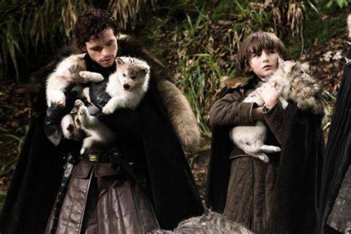 Dog Who Played Bran Stark's Game of Thrones Direwolf Dies of Cancer