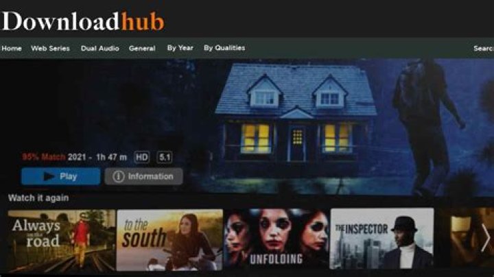 DownloadHub Download Top Best 300MB Dual Audio Movies, Hindi, Punjabi