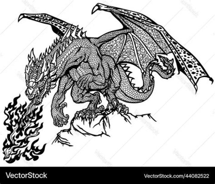 Dragon Dragon