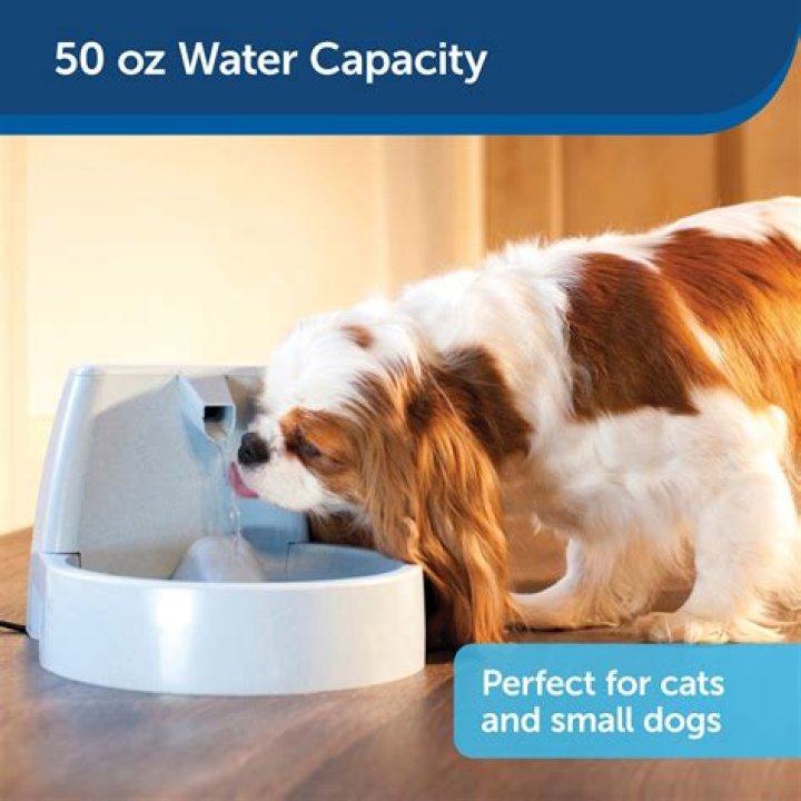 Drinkwell Original Plastic Dog & Cat Fountain