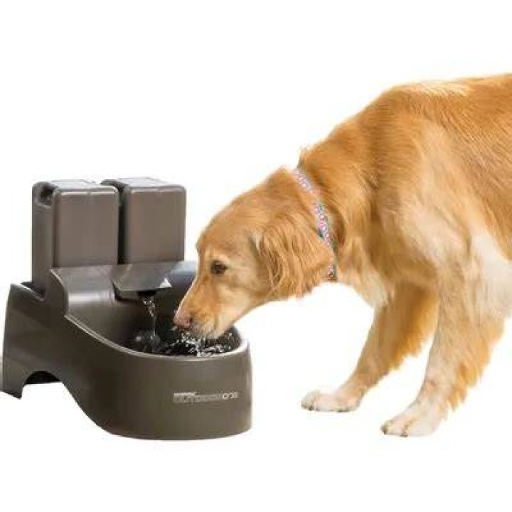 Drinkwell Outdoor Plastic Dog & Cat Fountain