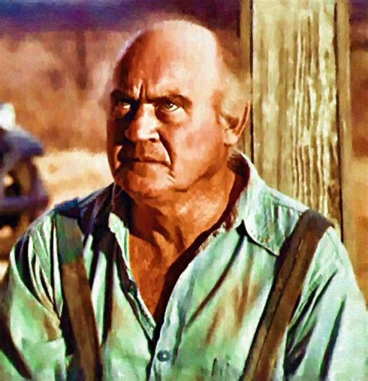 Dub Taylor - Bandolero!